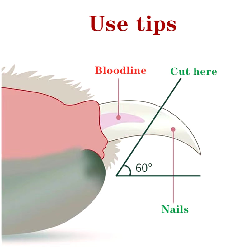 LED Light Professional Pet Nail Clipper for Cats and Small Dogs - Grooming Scissors and Accessories