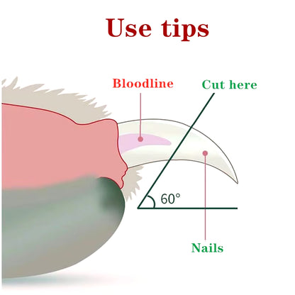 LED Light Professional Pet Nail Clipper for Cats and Small Dogs - Grooming Scissors and Accessories